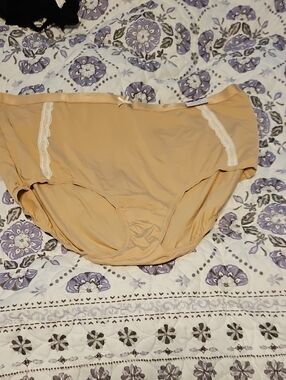 Cacique Beige Lace-Trim Full Coverage Briefs